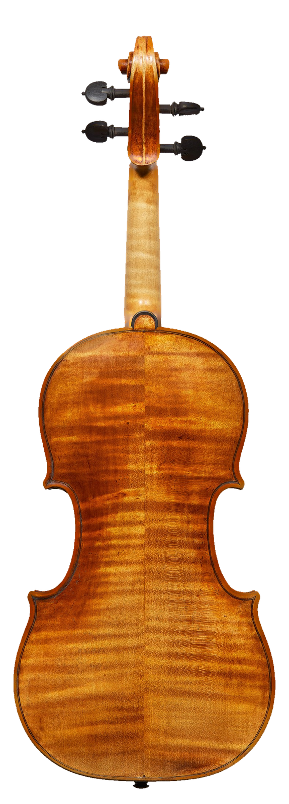 The 1731 Schneeberger Stradivari, back view showing its flamed maple.
